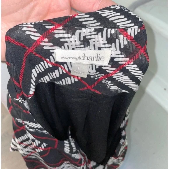 Charming Charlie dress - Picture 4 of 4